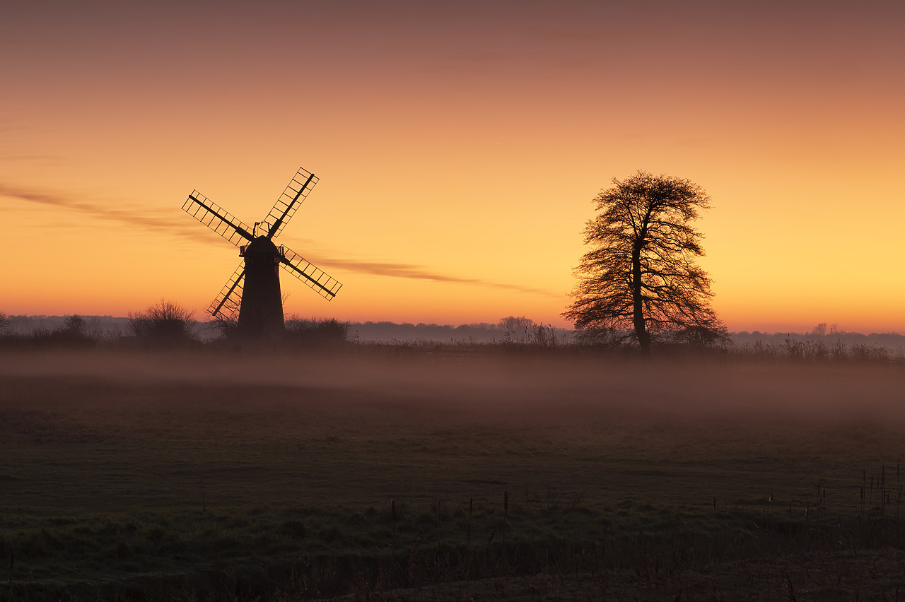 #410008-1 - St. Benet's Mill & Tree at Sunset, Norfolk Broads National Park, Norfolk, England