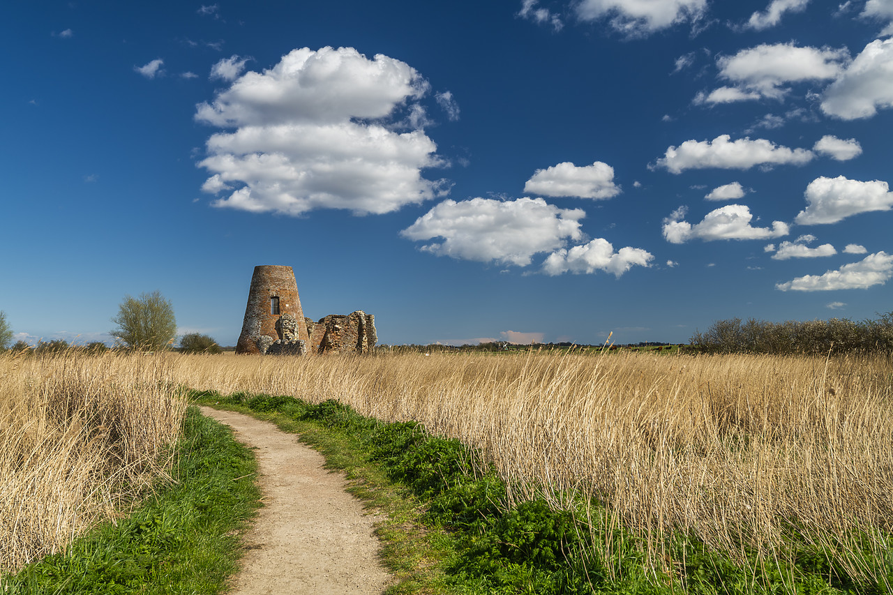 #410052-1 - Path to St. Benet's Abbey, Norfolk Broads National Park, England