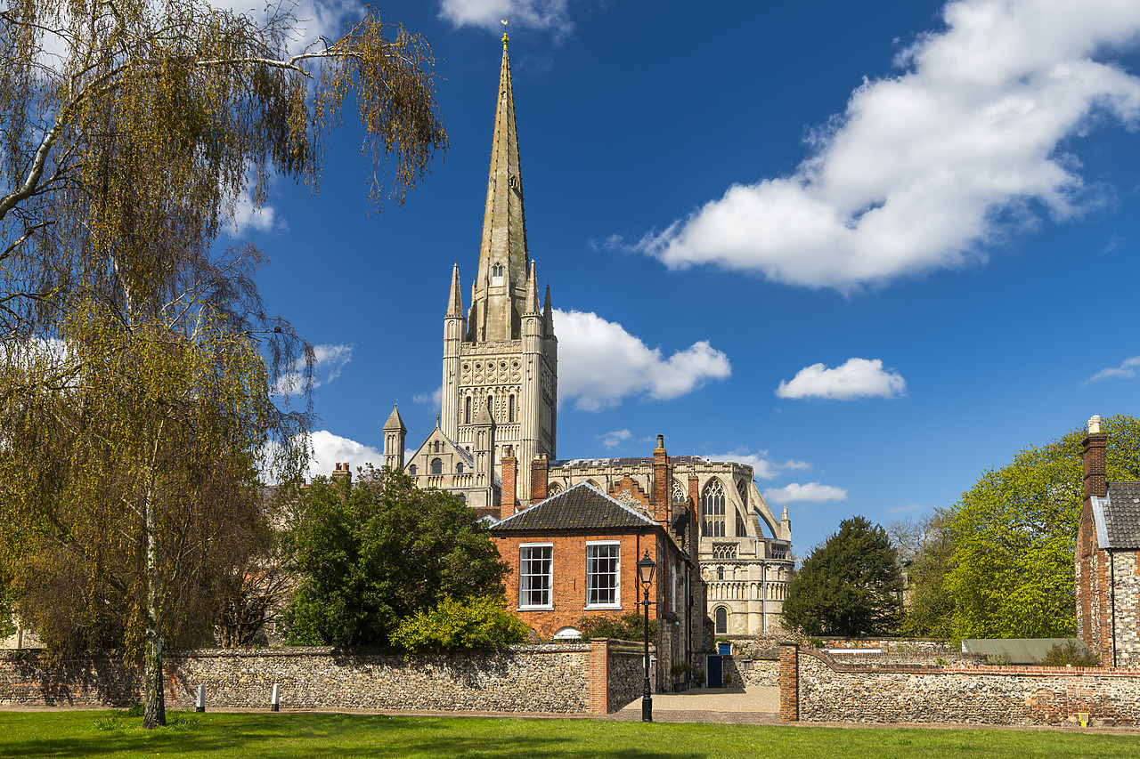 #410071-1 - Norwich Cathedral in Spring, Norwich, Norfolk, England