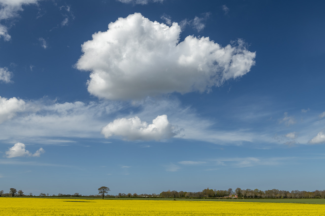 #410140-1 - Clouds over Field of Rape, Norfolk, England