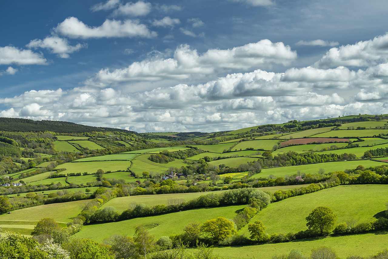 #410161-1 - View over Exmoor National Park, Somerset, England