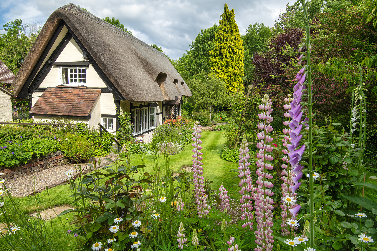 #410182-1 - Thatched Cottage & Garden, Eastnor, Herefordshire, England
