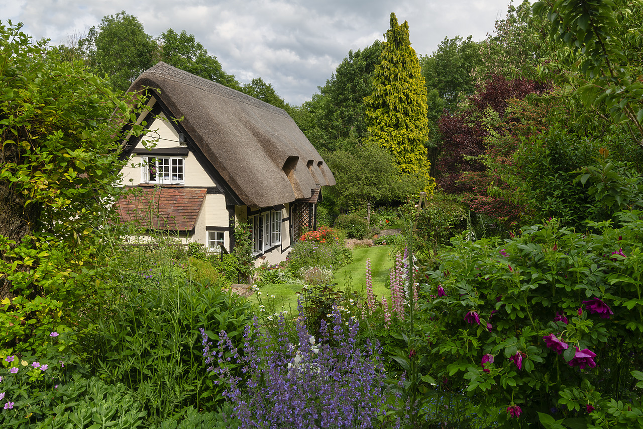 #410183-1 - Thatched Cottage & Garden, Eastnor, Herefordshire, England