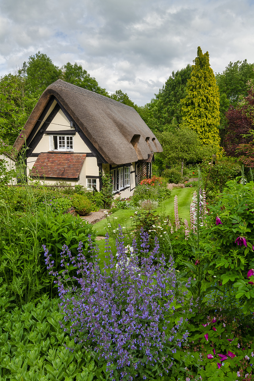 #410183-2 - Thatched Cottage & Garden, Eastnor, Herefordshire, England
