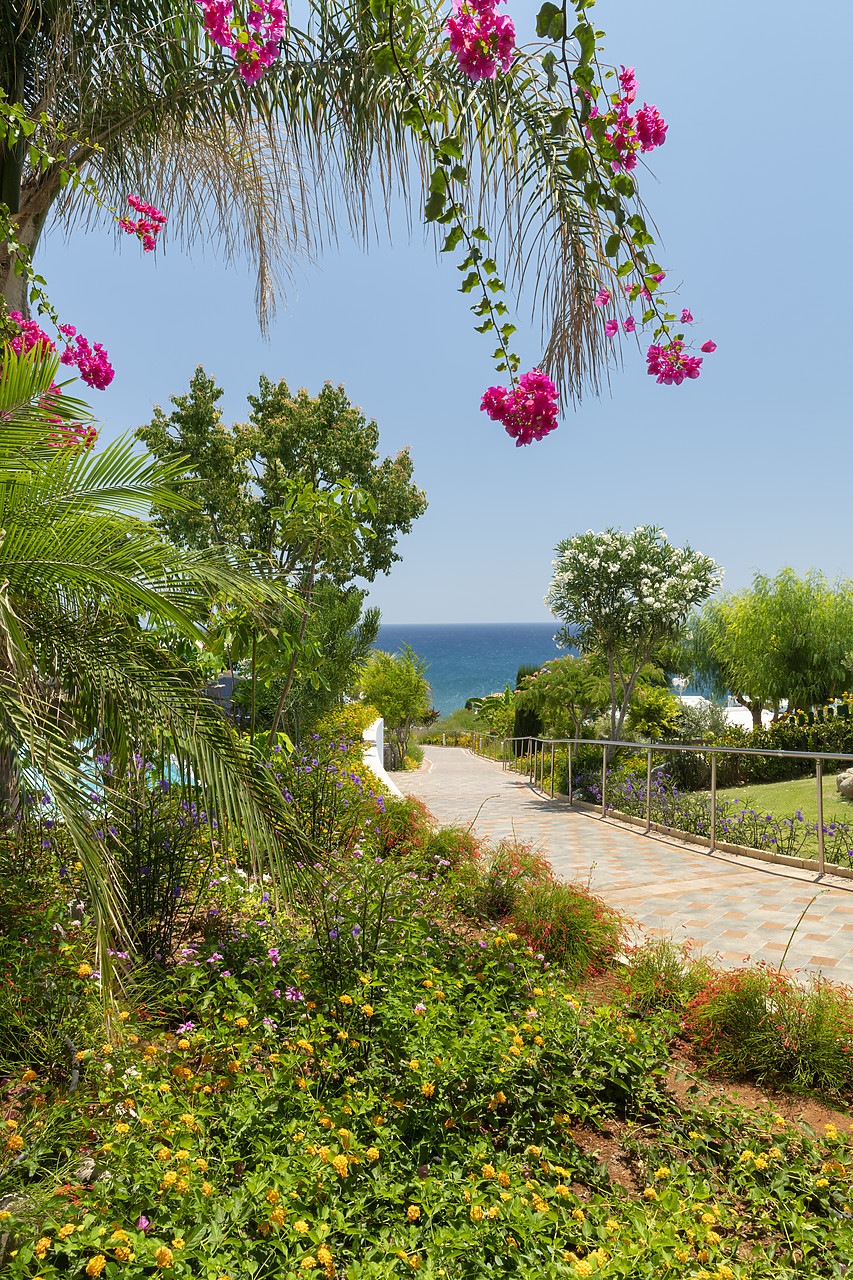 #410295-1 - Bougainvillea over Footpath, Rhodes, Dodecanese Islands, Greece