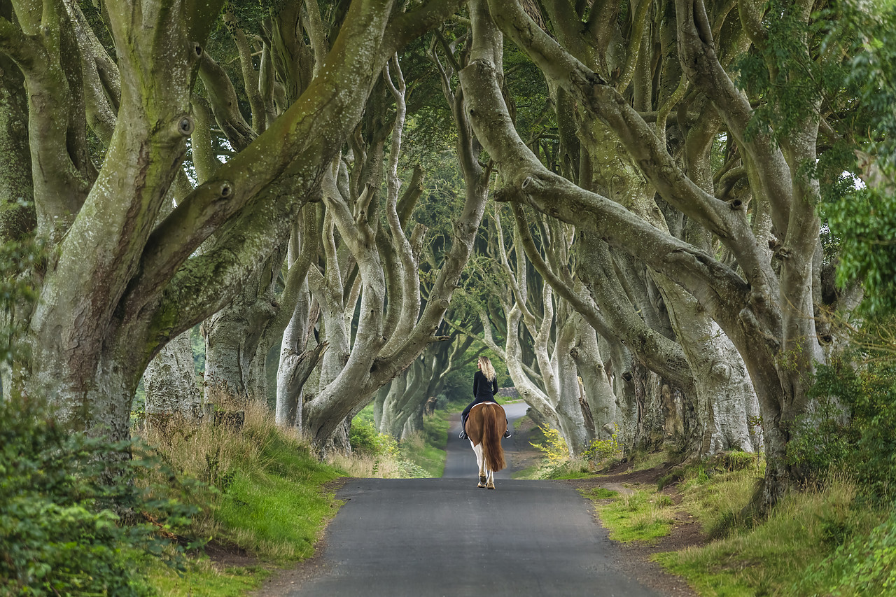 #410368-1 - Woman on Horse along Dark Hedges Road, County, Antrim, Northern Ireland