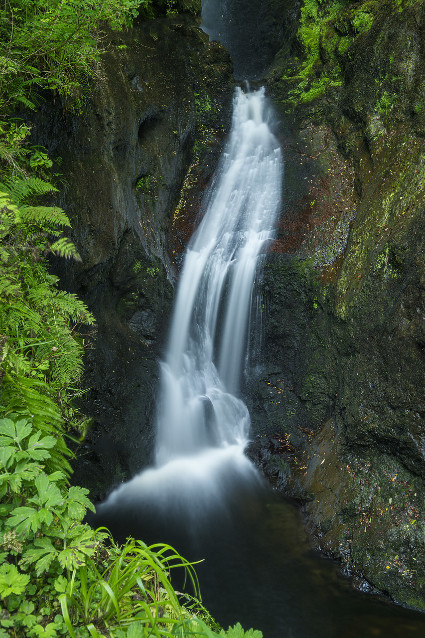 #410373-1 - Ess-na-Larach Waterfall, Glenariff Forest Park, County Antrim, Northern Ireland