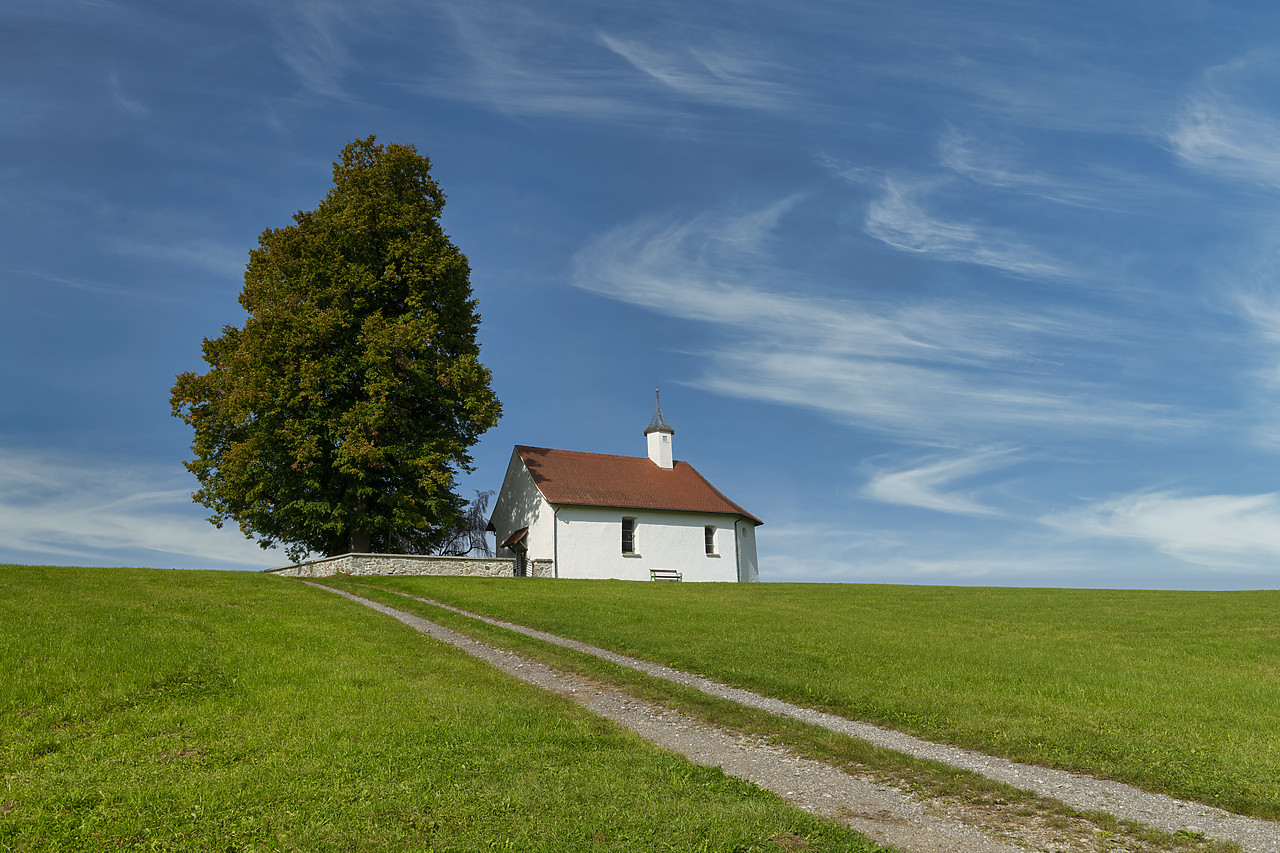 #410398-1 - Path Leading to Tree & Chapel, Isny im Allgau, Baden-Wurttemberg, Germany