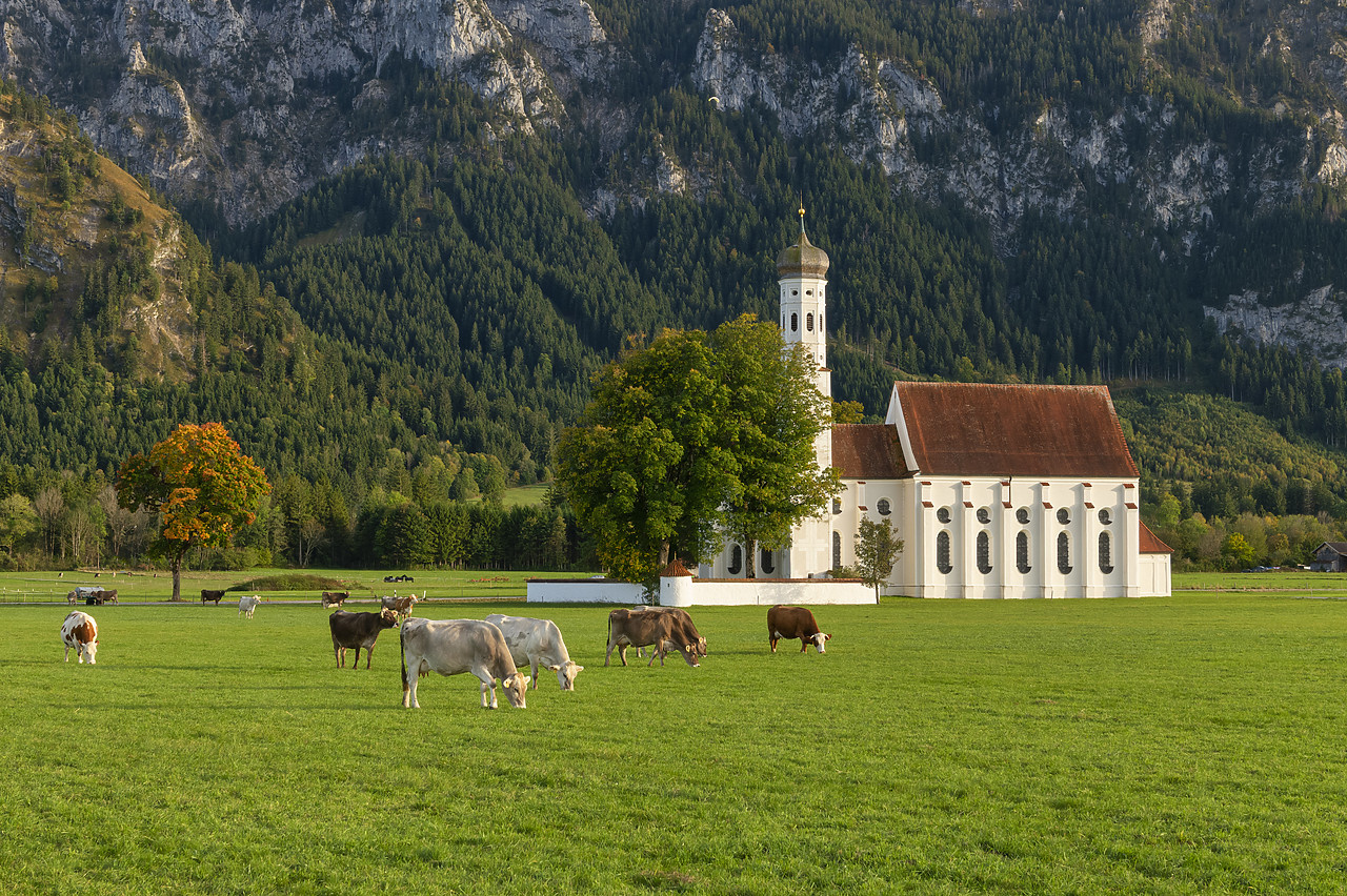 #410399-1 - Pilgrim's Church of St. Coloman, Schwangau, Bavaria, Germany