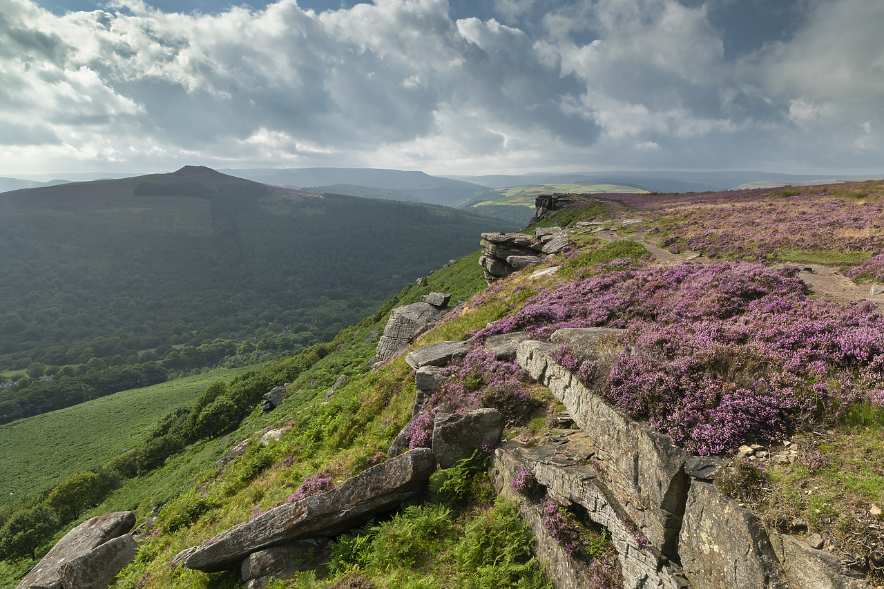 #410418-1 - Heather in Bloom on Bamford Edge, Peak District National Park, Derbyshire, England