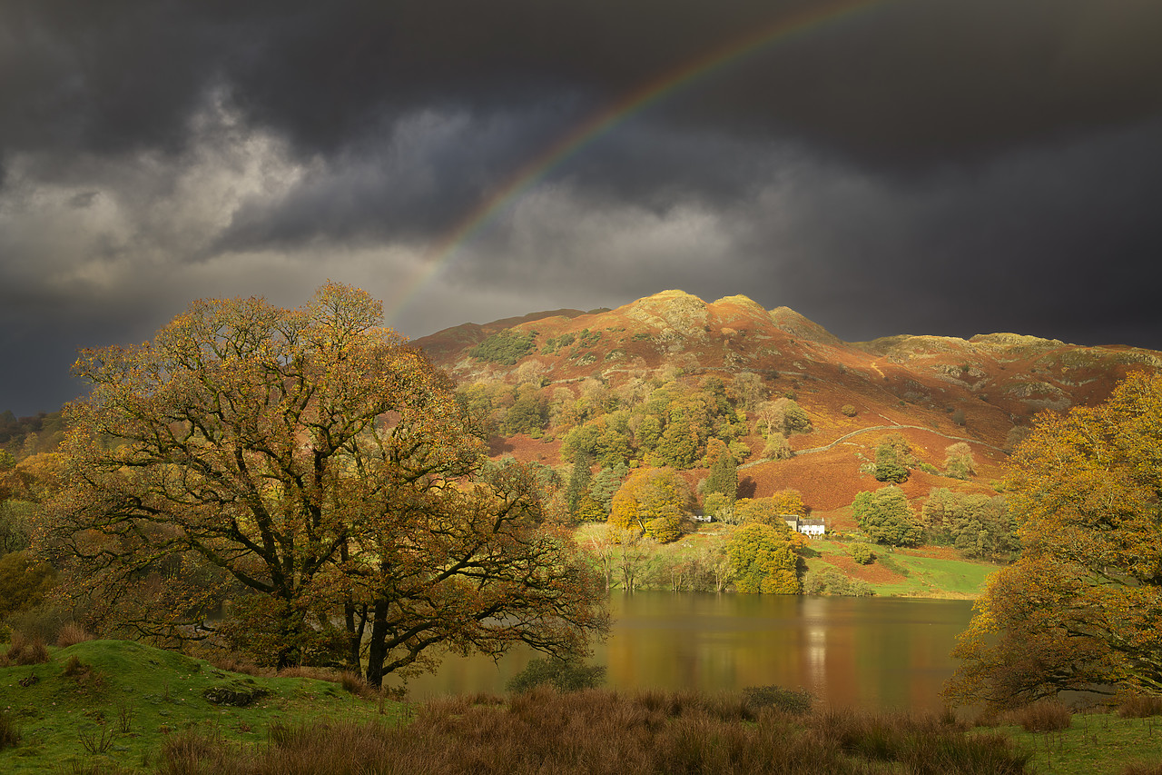 #410427-1 - Rainbow over Loughrigg Fell in Autumn, Lake District National  Park, Cumbria, England