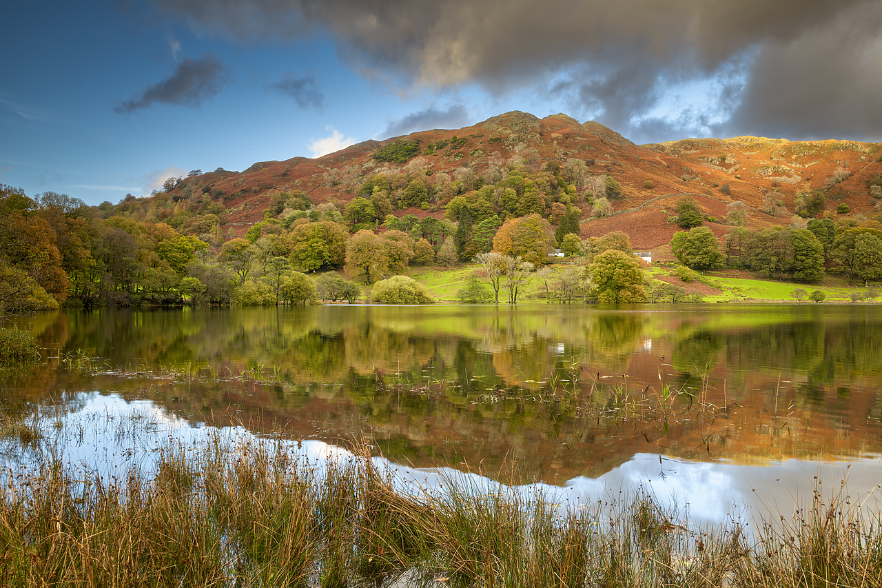 #410428-1 - Loughrigg Tarn in Autumn, Lake District National  Park, Cumbria, England