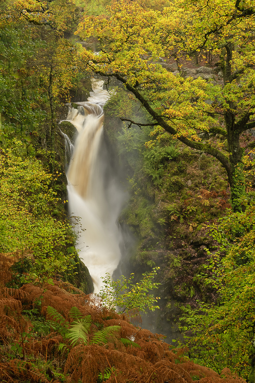 #410429-1 - Aira Force in Autumn, Lake District National  Park, Cumbria, England