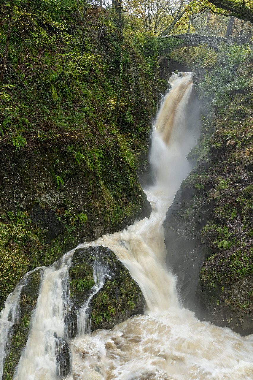 #410430-1 - Aira Force, Lake District National  Park, Cumbria, England