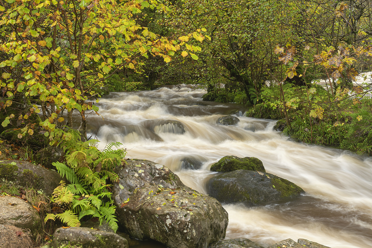 #410431-1 - Aira Beck in Autumn, Lake District National  Park, Cumbria, England