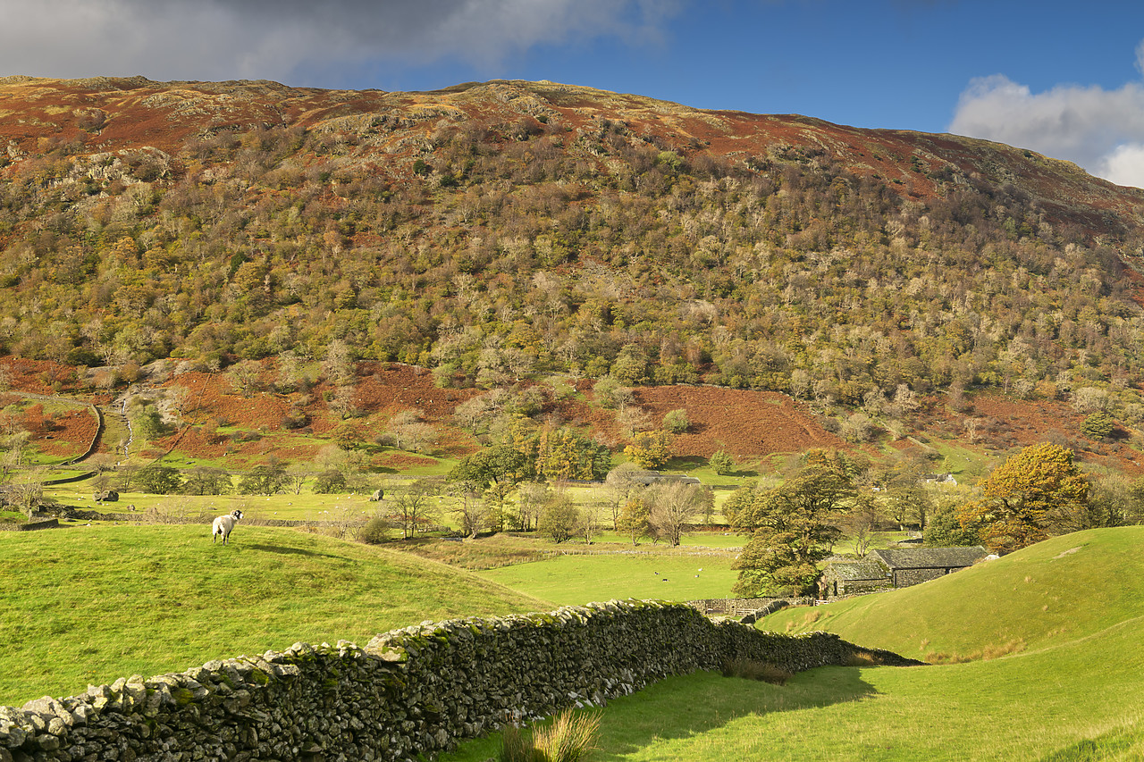 #410435-1 - Dovedale in Autumn, Lake District National  Park, Cumbria, England, Lake District National  Park, Cumbria, England