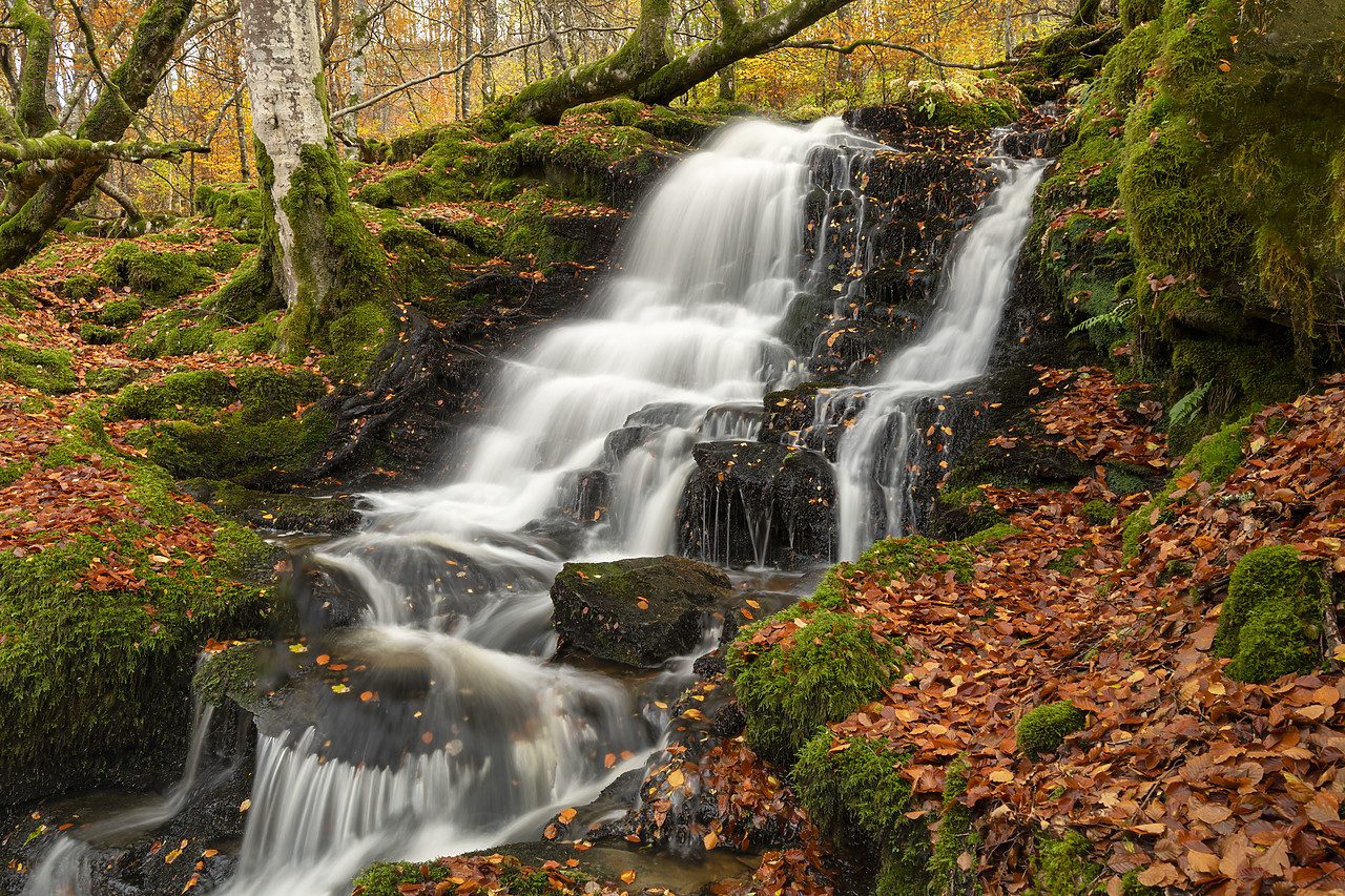 #410454-1 - Waterfall in Autumn, Birks of Aberfeldy, Perthshire Region, Scotland