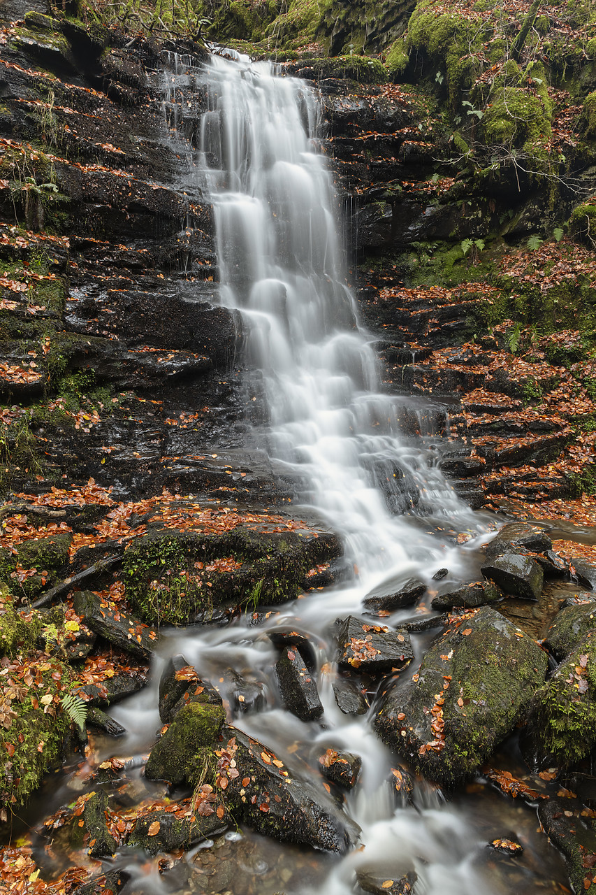 #410455-1 - Waterfall in Autumn, Birks of Aberfeldy, Perthshire, Scotland