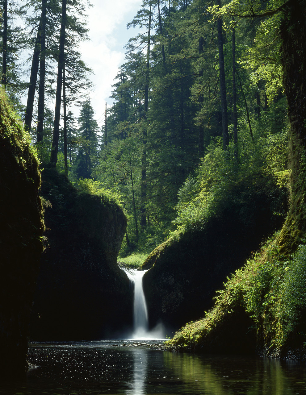 #83169-1 - Punchbowl Falls, Columbia River Gorge, Oregon, USA