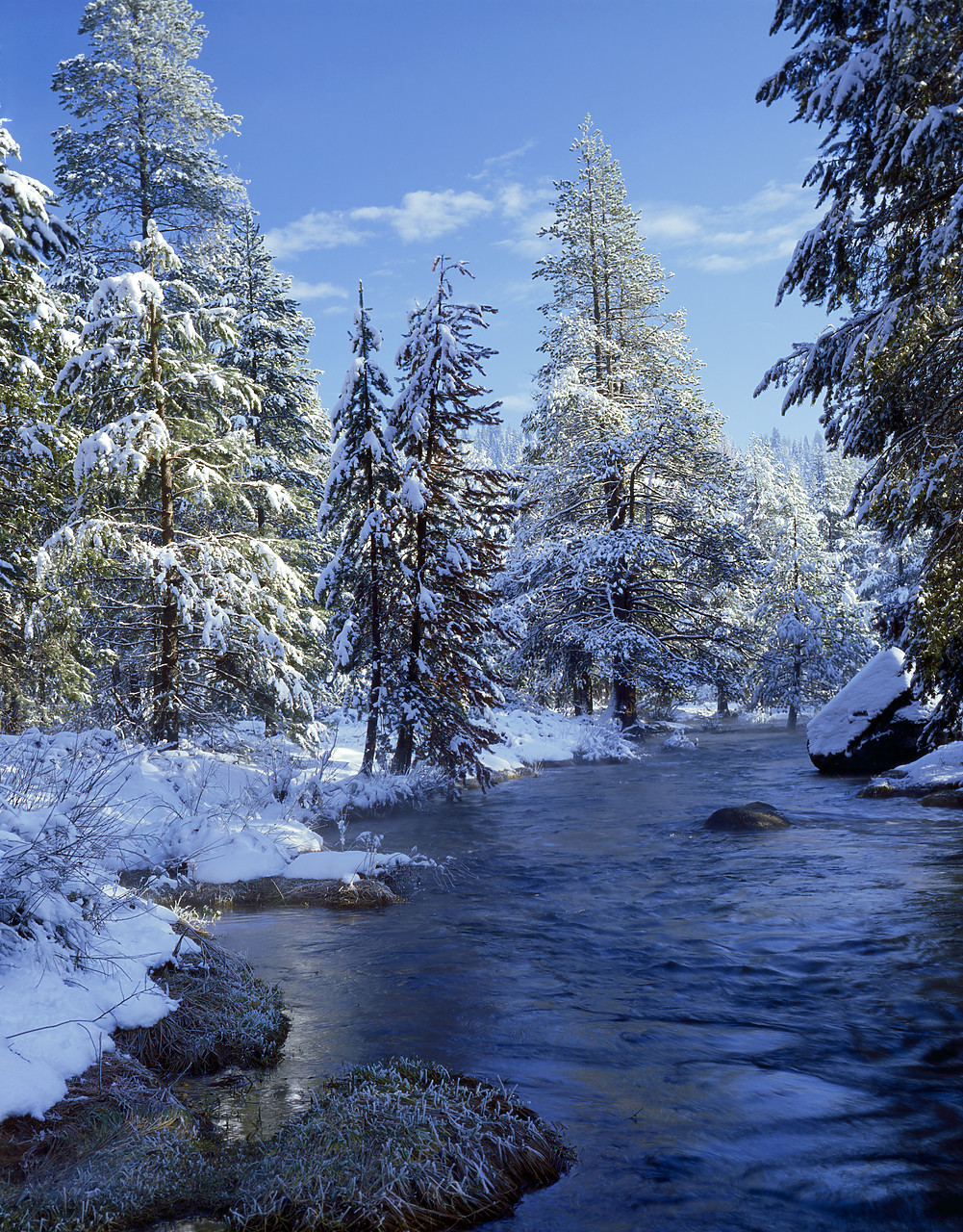 #8371-1 - Truckee River in Winter, Truckee, California, USA