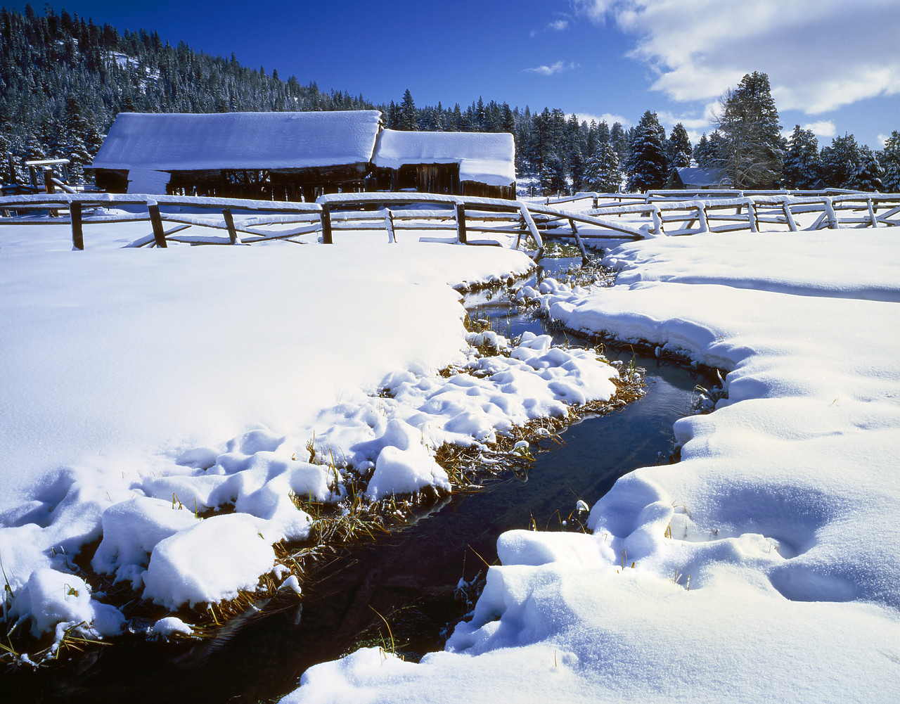 #8380-2 - High Sierra Barn in Winter, near Sierraville, California, USA