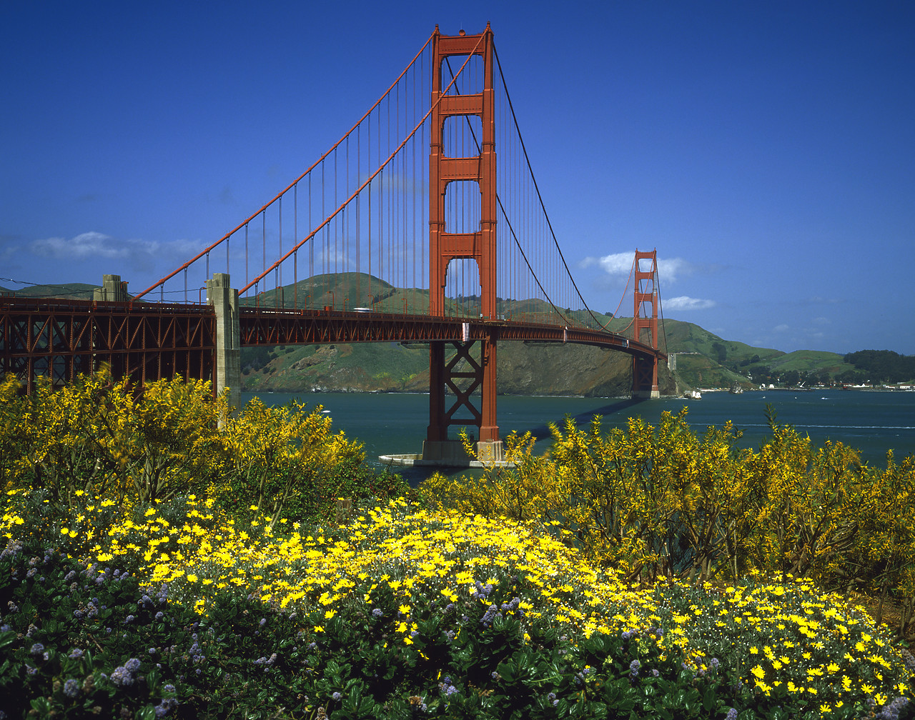 #85269-2 - Golden Gate Bridge, San Francisco, California, USA