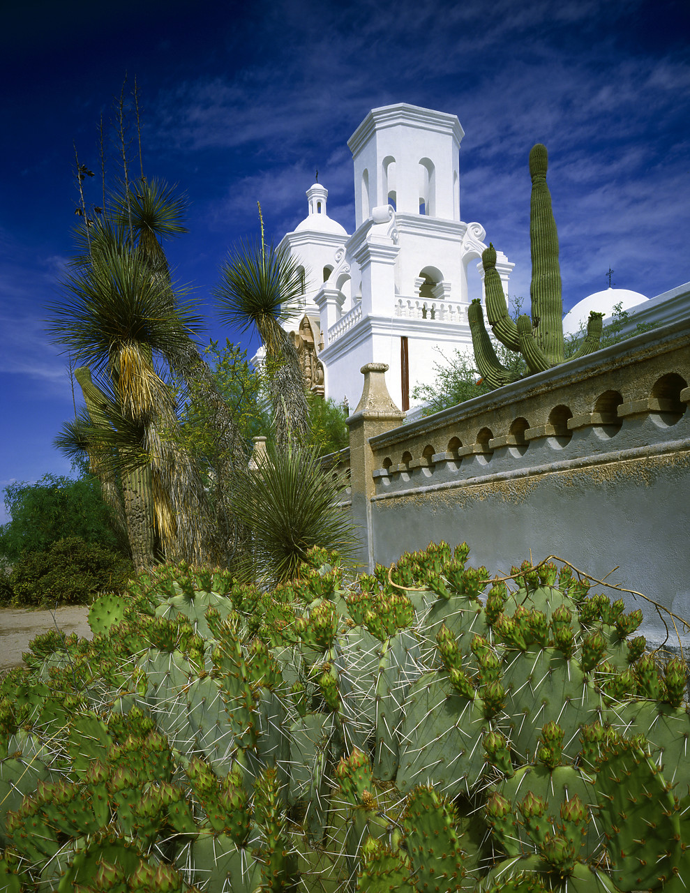 #85308-1 - Mission San Xavier del Bac, Tucson, Arizona, USA