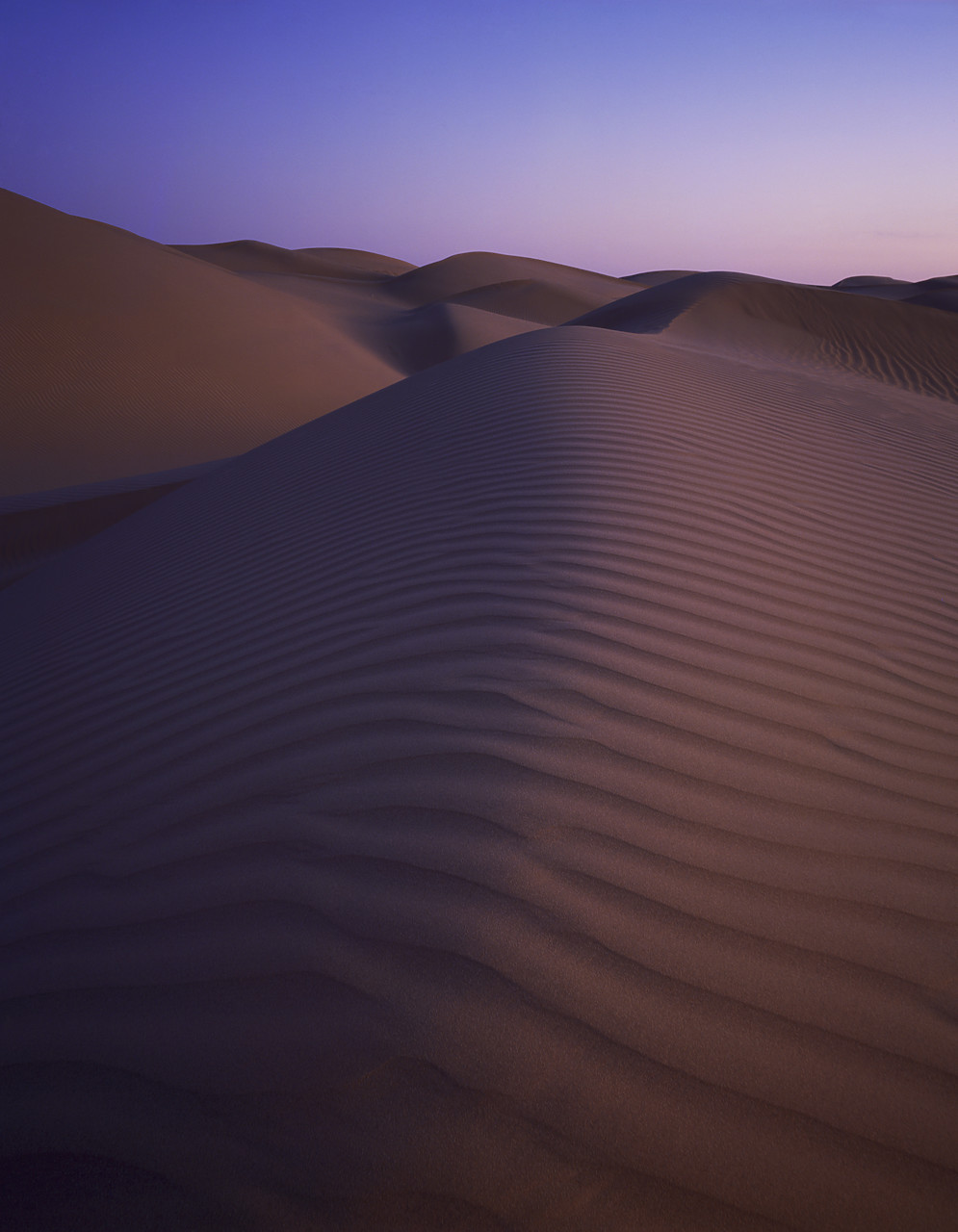 #85329 - Sand Dune Patterns, near Yuma, Arizona, USA