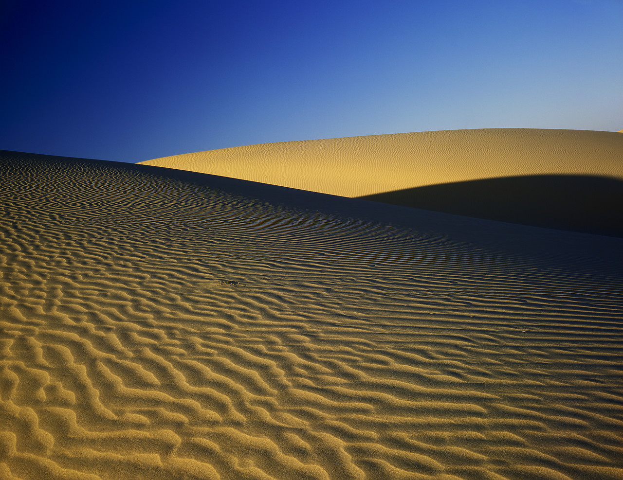 #85347 - Sand Dune Patterns, near Yuma, Arizona, USA