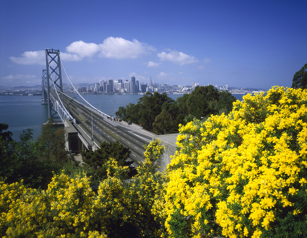 #85348-2 - Oakland Bay Bridge, San Francisco, California, USA