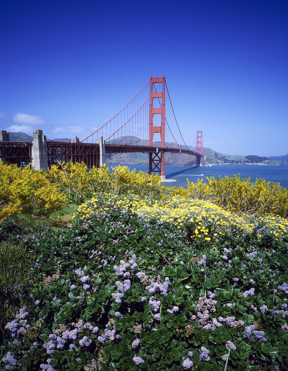 #85350-2 - Golden Gate Bridge, San Francisco, California, USA