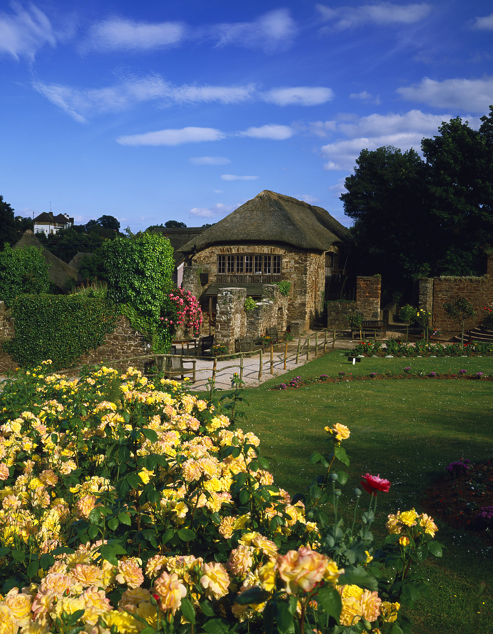 #85404-2 - Old Mill Cottage, Cockington, Devon, England