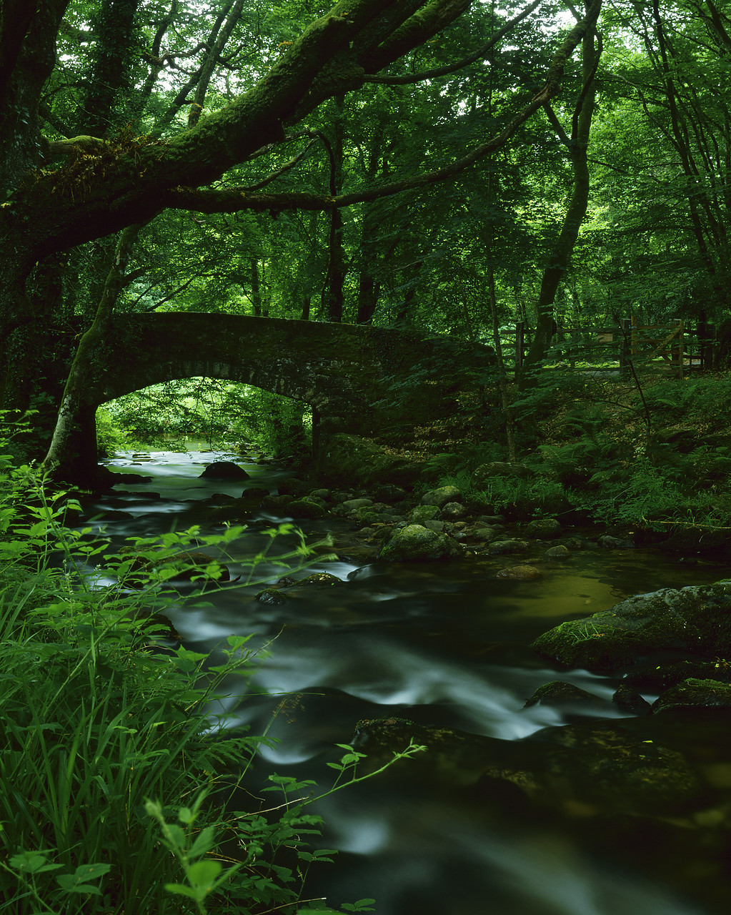 #85405-1 - West Dart River & Stone Bridge, Dartmoor Forest, Devon, England
