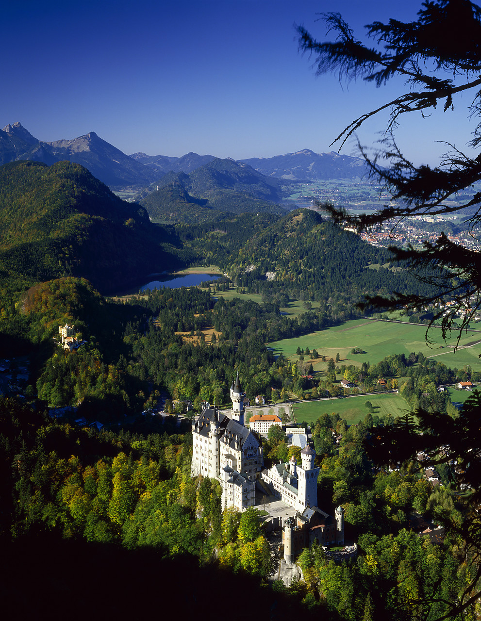 #85476-1 - Neuschwanstein Castle, Bavaria, Germany