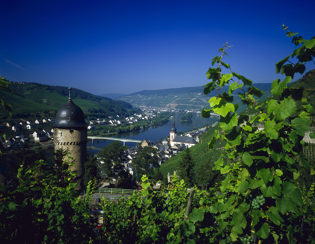 #85497 - View over Zell, Mosel Valley, Germany