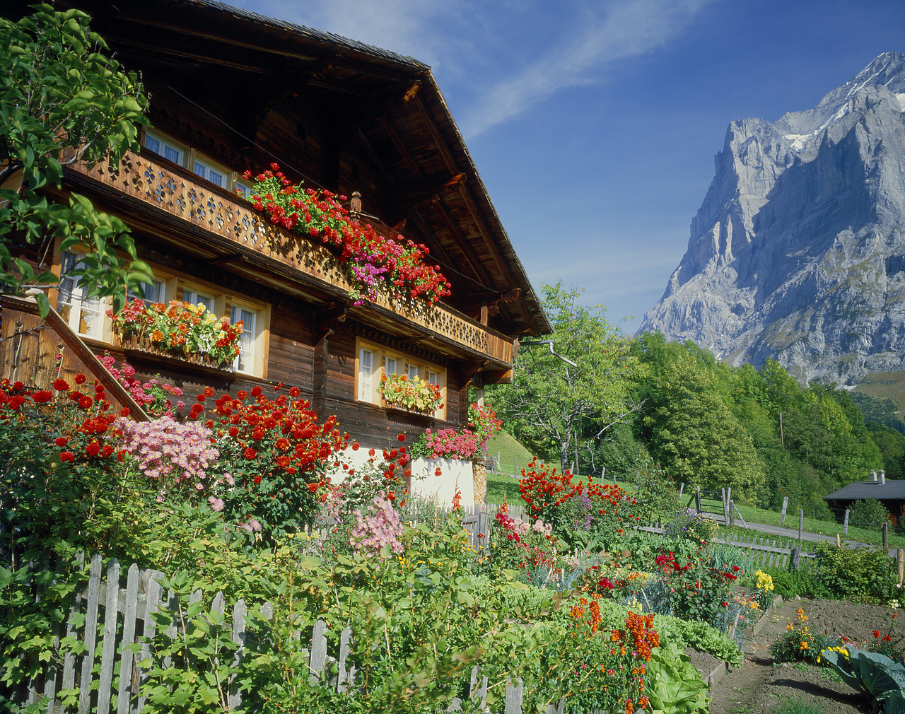 #85527-1 - Swiss Chalet & Wetterhorn, Grindelwald, Switzerland