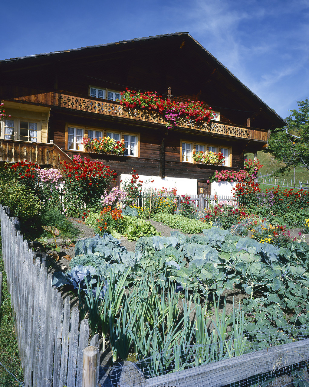 #85528 - Swiss Chalet & Garden, Grindelwald, Switzerland