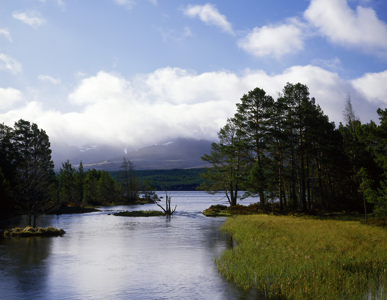 #86685-1 - Loch Morlich, Aviemore, Highland Region, Scotland