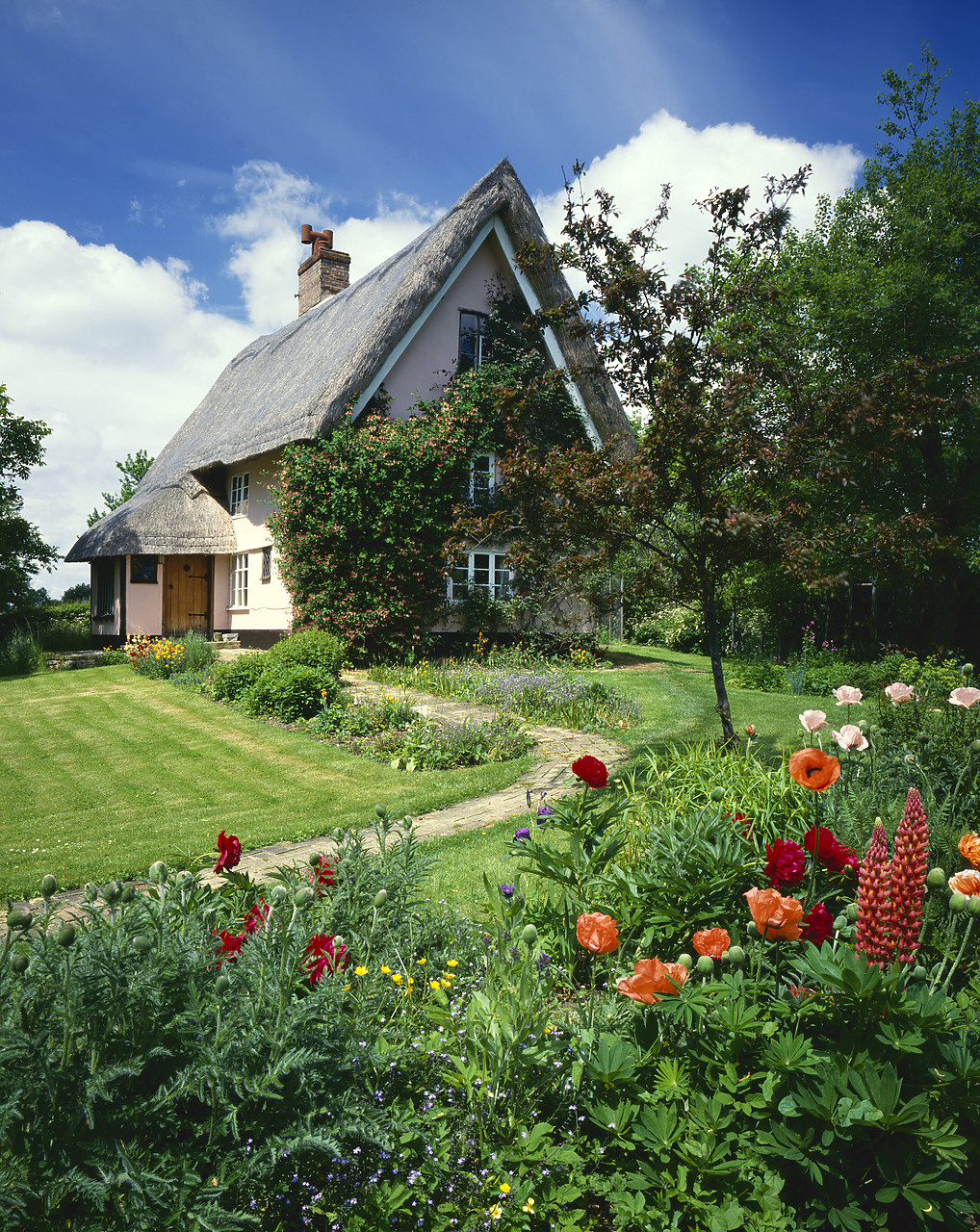 #86713-4 - Thatched Cottage & Garden, near Dennington, Suffolk, England