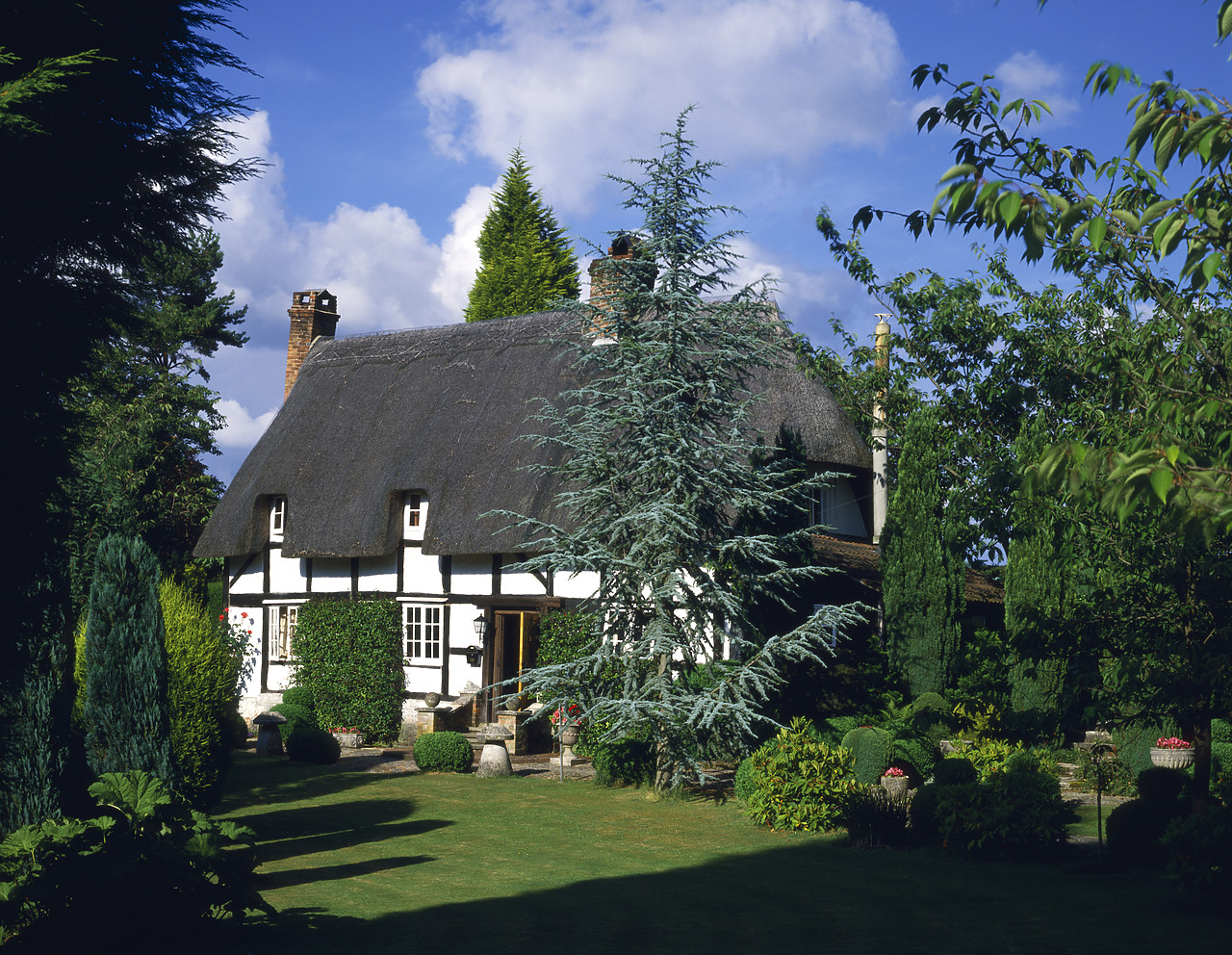 #86731-1 - New Forest Cottage, Lyndhurst, Hampshire, England
