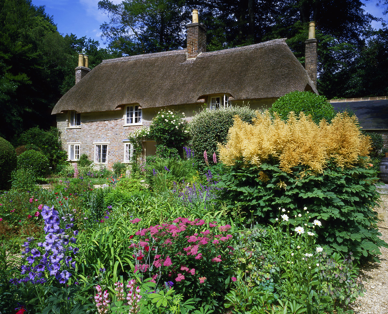 #86745-1 - Thomas Hardy's Cottage & Garden, Higher Bockhampton, Dorset, England