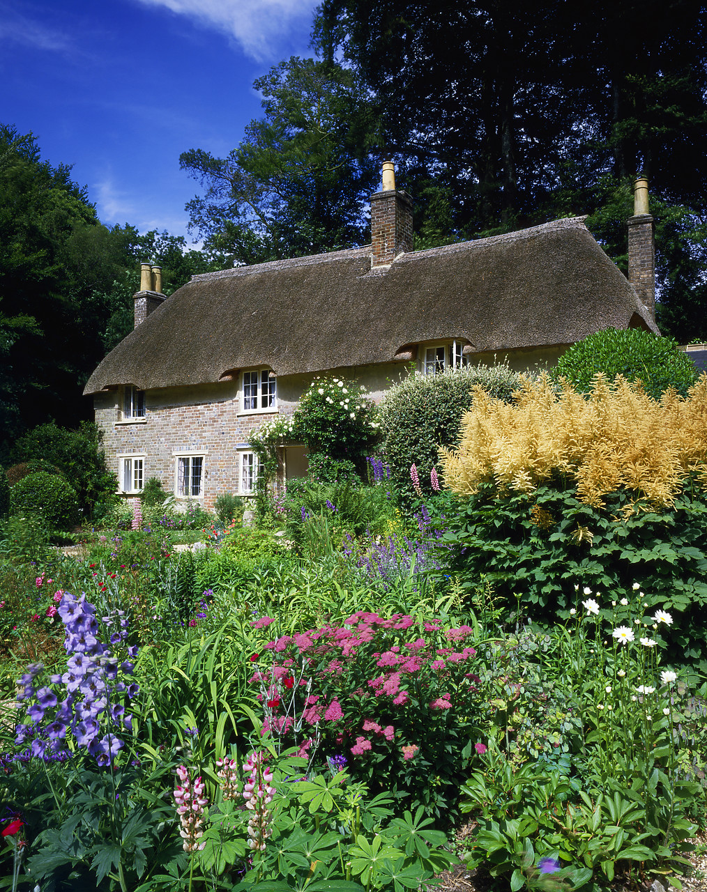 #86745-2 - Thomas Hardy's Cottage & Garden, Higher Bockhampton, Dorset, England