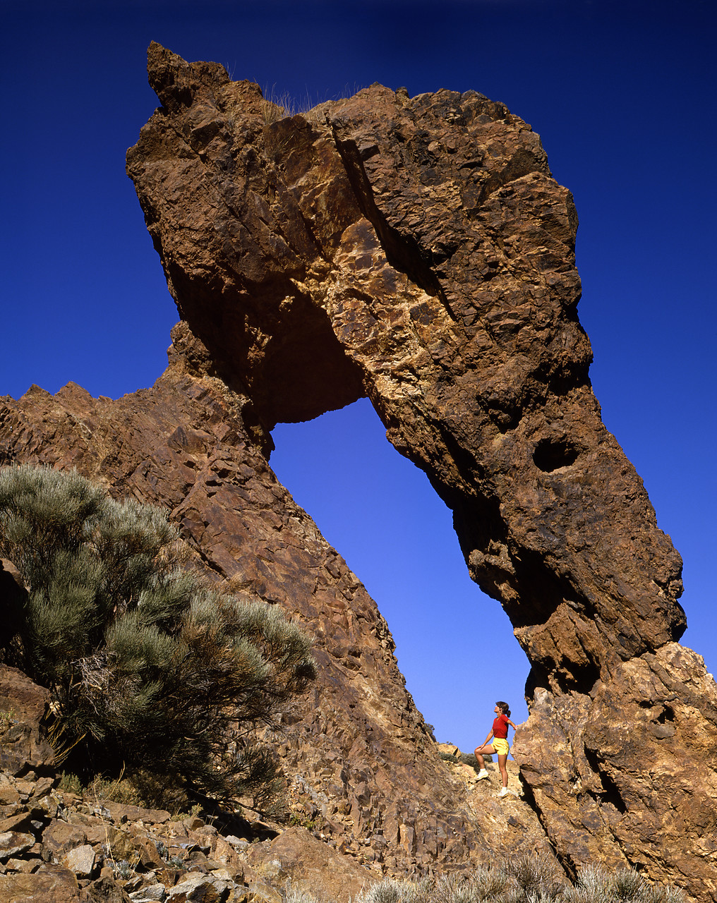 #86778-1 - The Queen's Slipper, Tenerife, Canary Islands