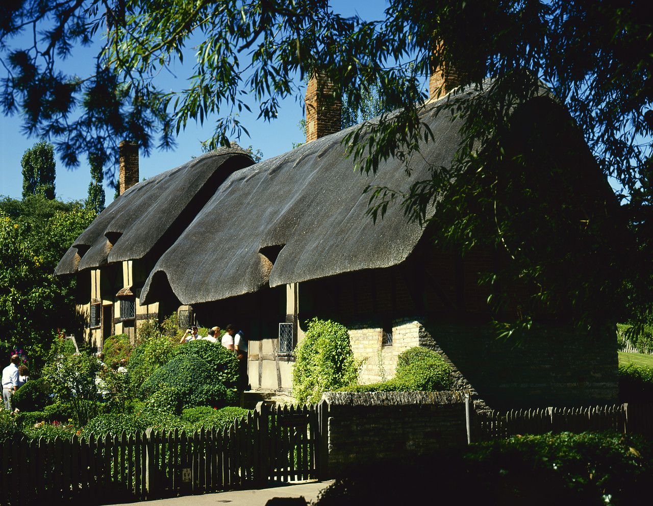#871001 - Ann Hathaway's Cottage, Shottery, Warwickshire, England