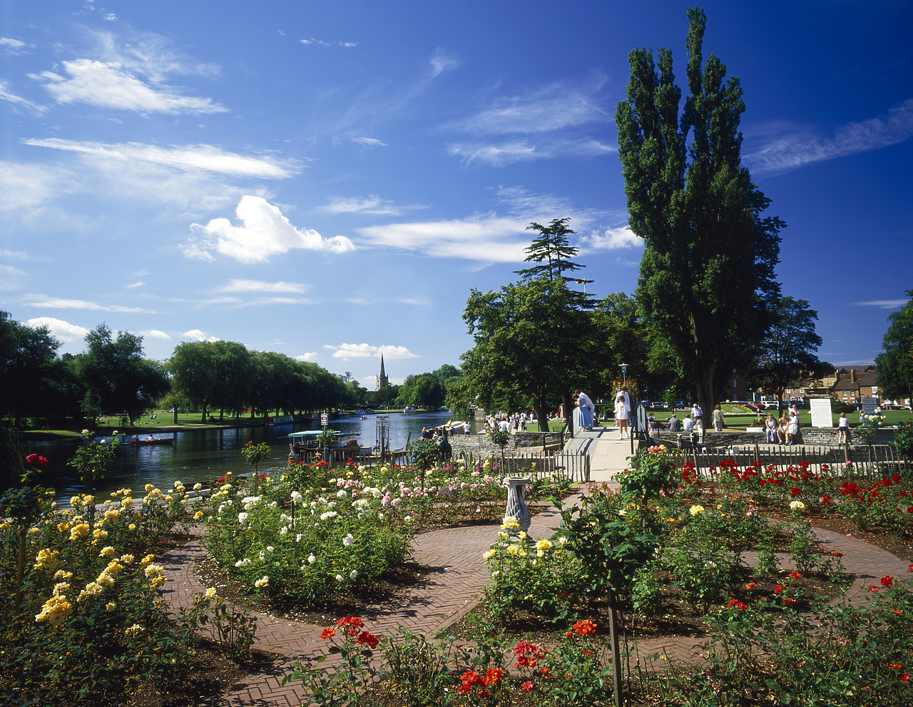#871012 - Rose Garden along River Avon, Stratford-upon-Avon, Warwickshire, England