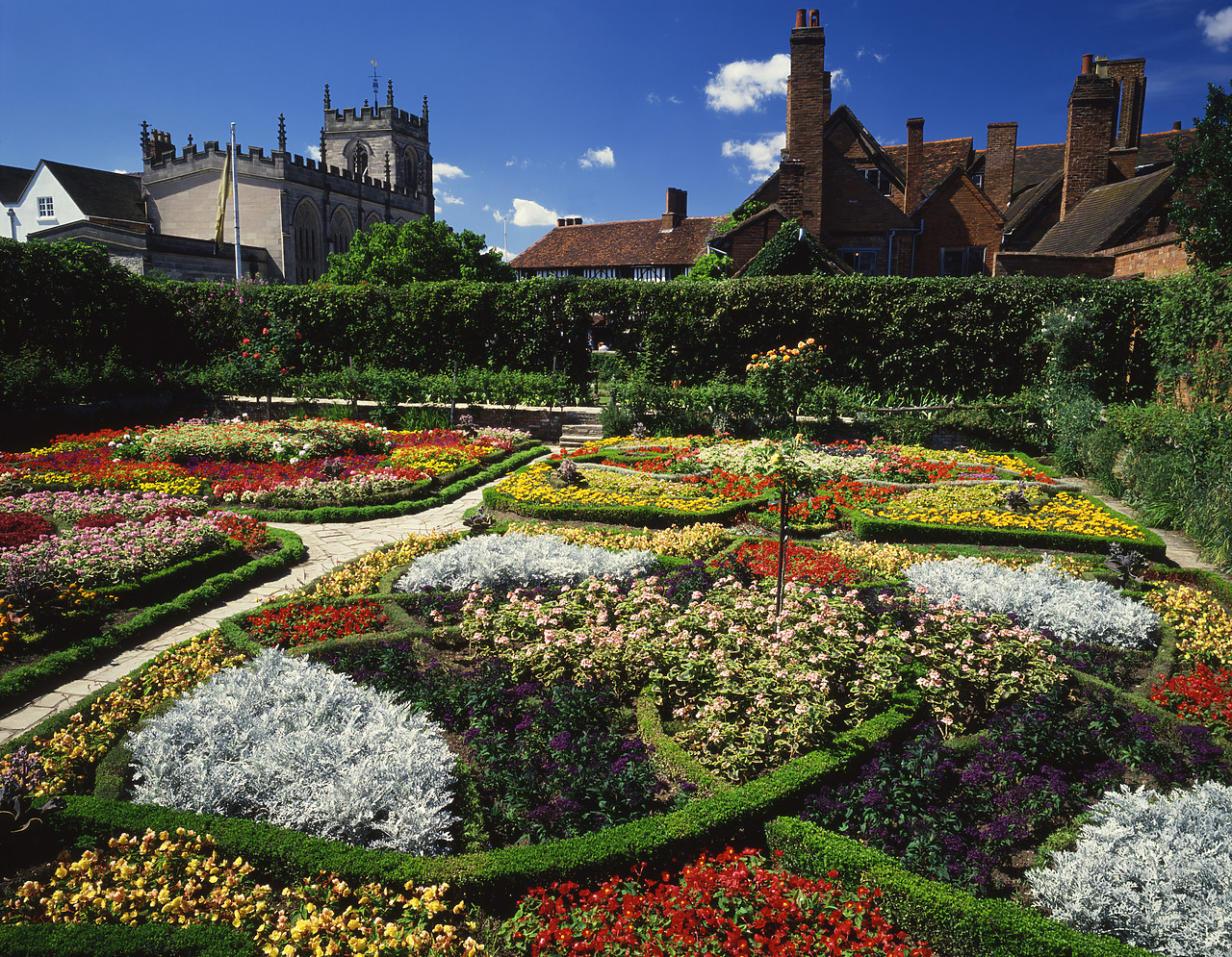 #871013-1 - The Knot Garden at New Place, Stratford-upon-Avon, Warwickshire, England