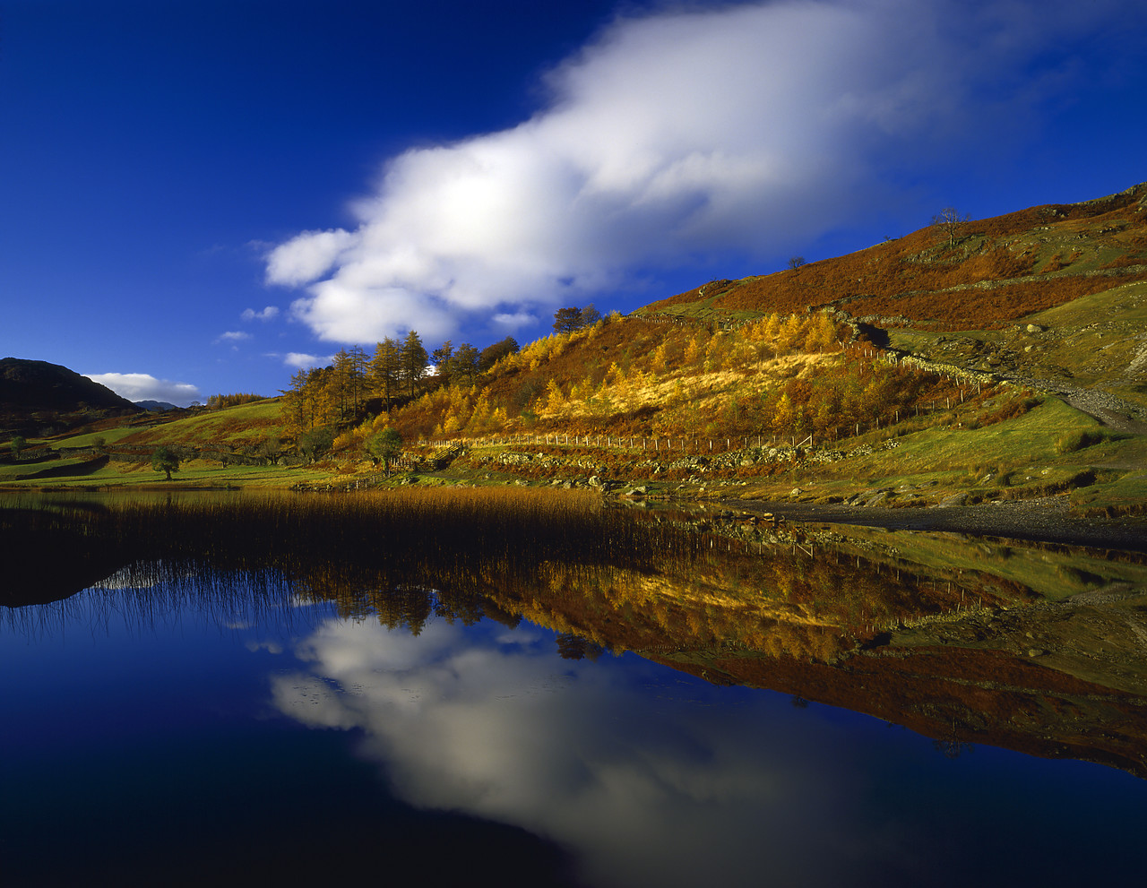 #871151 - Watendlath Tarn Reflections, Lake District National Park, Cumbria, England