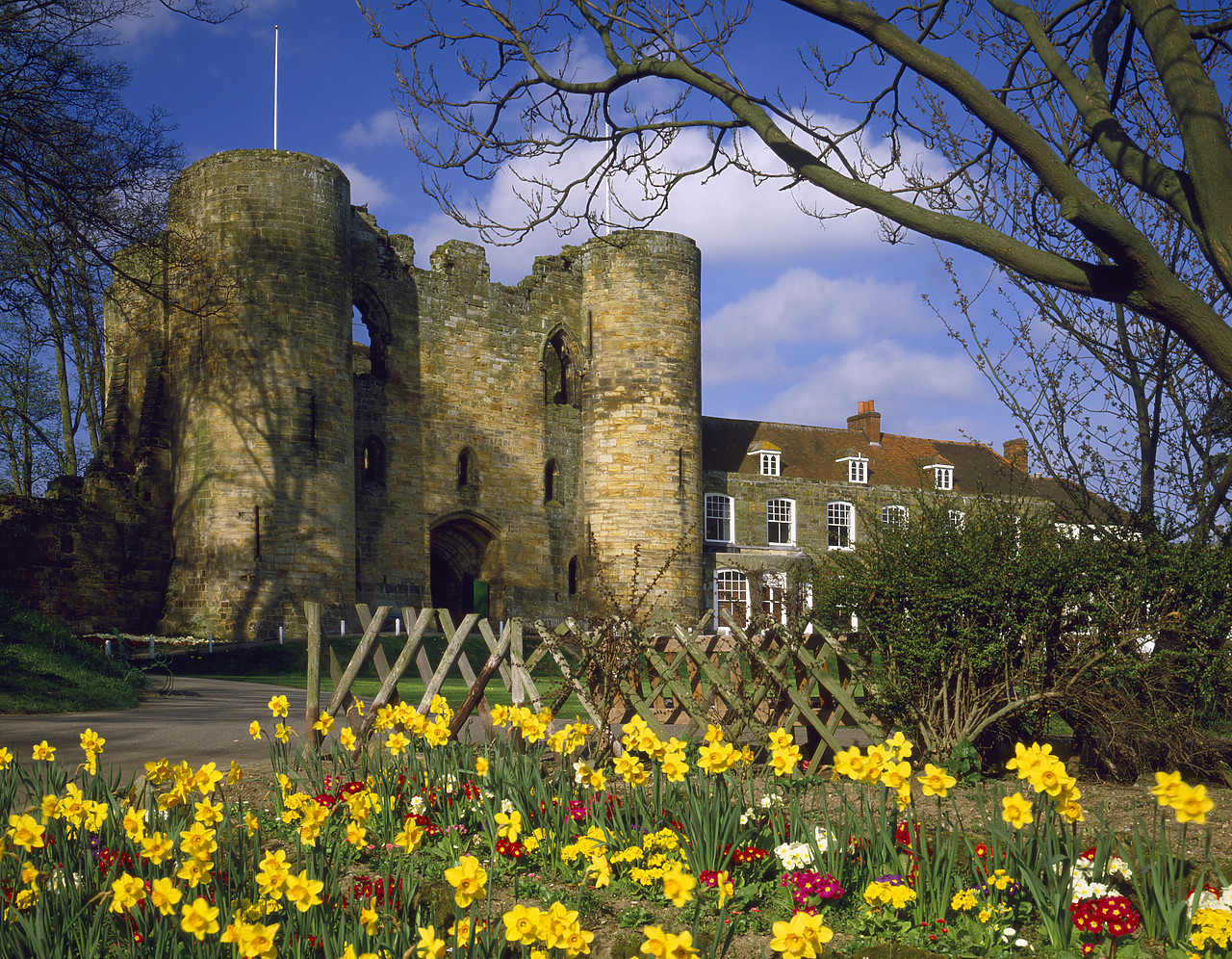 #87829-2 - Tonbridge Castle in Spring, Kent, England