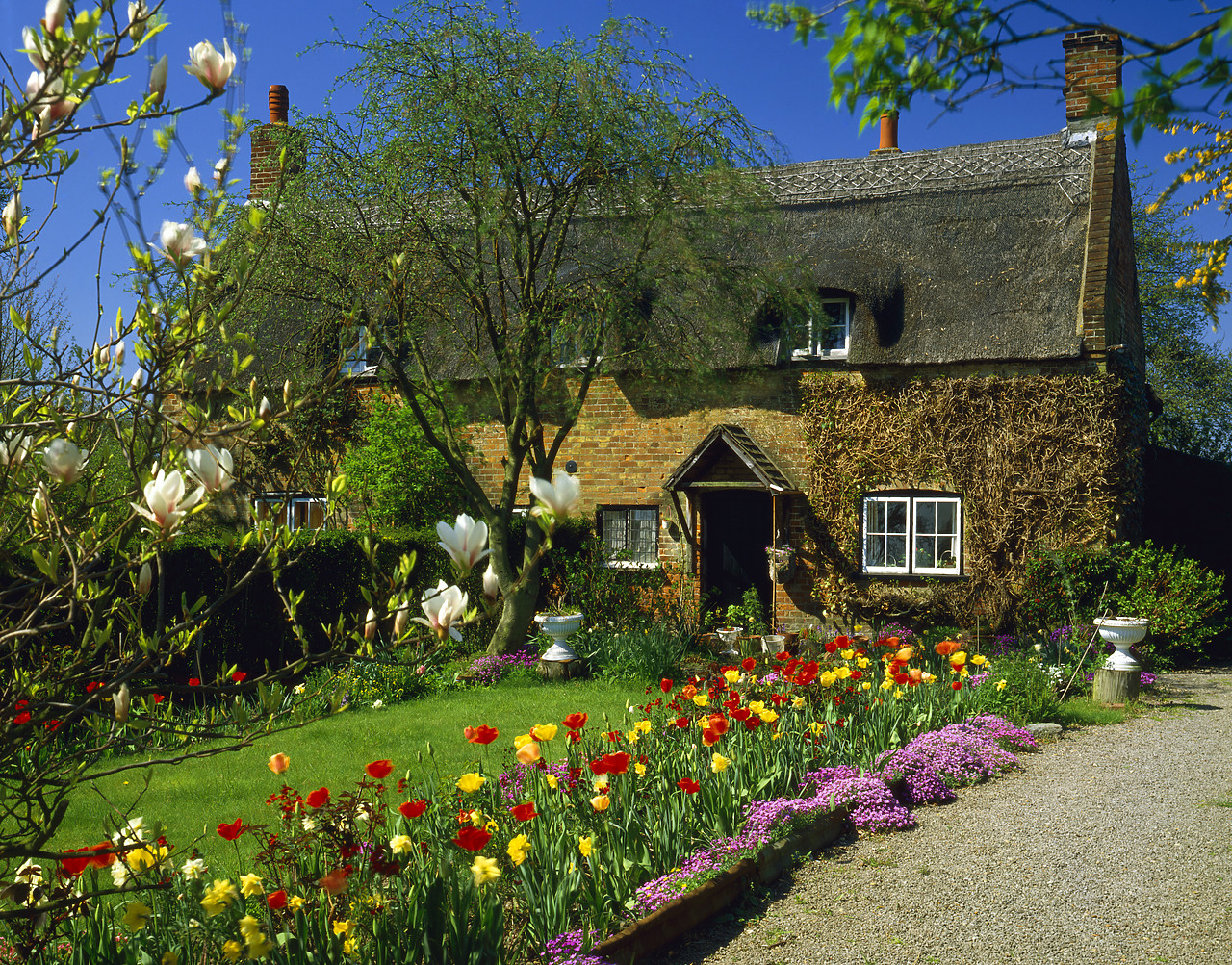 #87859 - Norfolk Cottage & Spring Garden, Woodbastwick, Norfolk, England