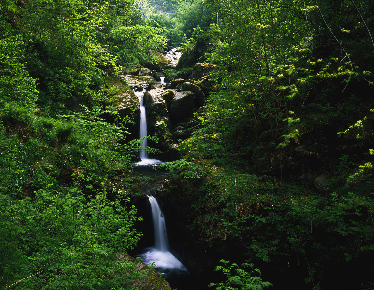 #87900-1 - Woodland Waterfalls, Watersmeet, Devon, England